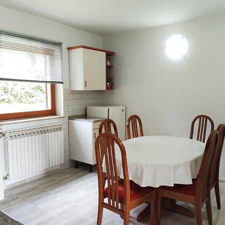Guest House Kolić Drežnik Grad Extérieur photo