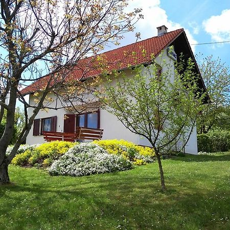 Guest House Kolić Drežnik Grad Extérieur photo
