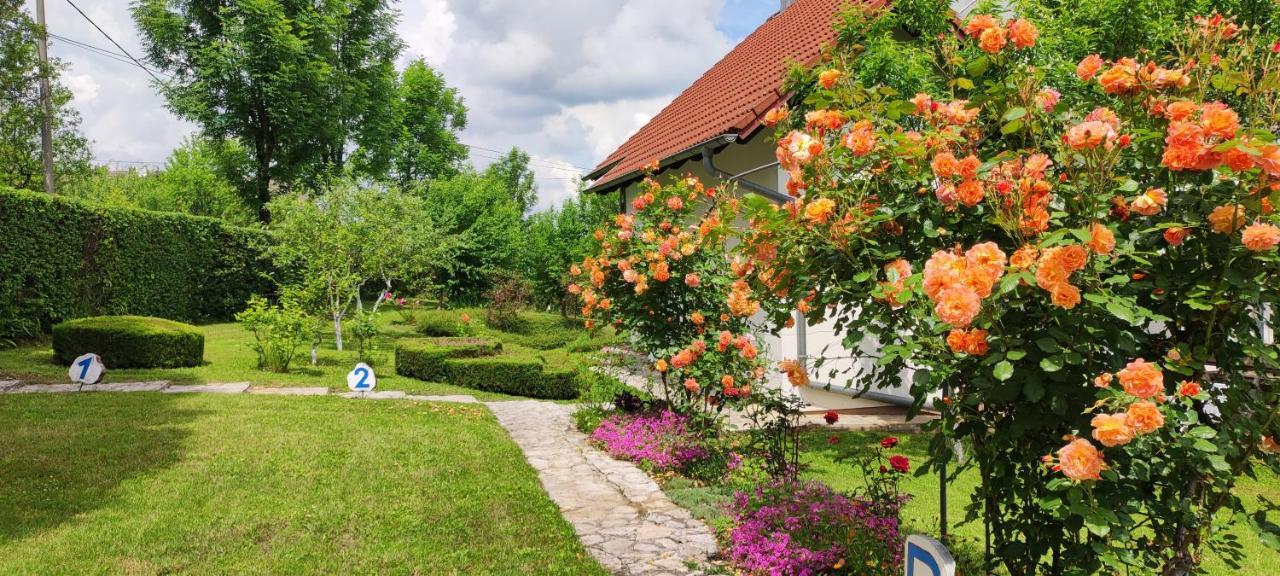 Guest House Kolić Drežnik Grad Extérieur photo