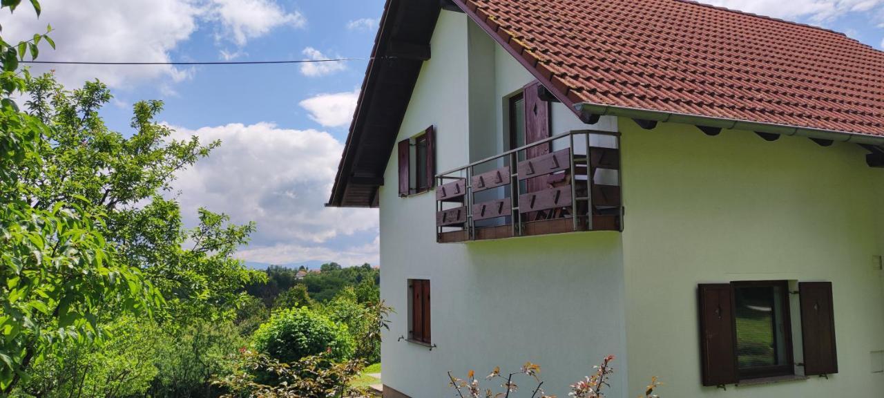 Guest House Kolić Drežnik Grad Extérieur photo