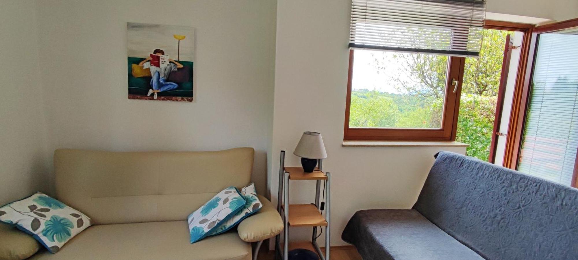 Guest House Kolić Drežnik Grad Extérieur photo
