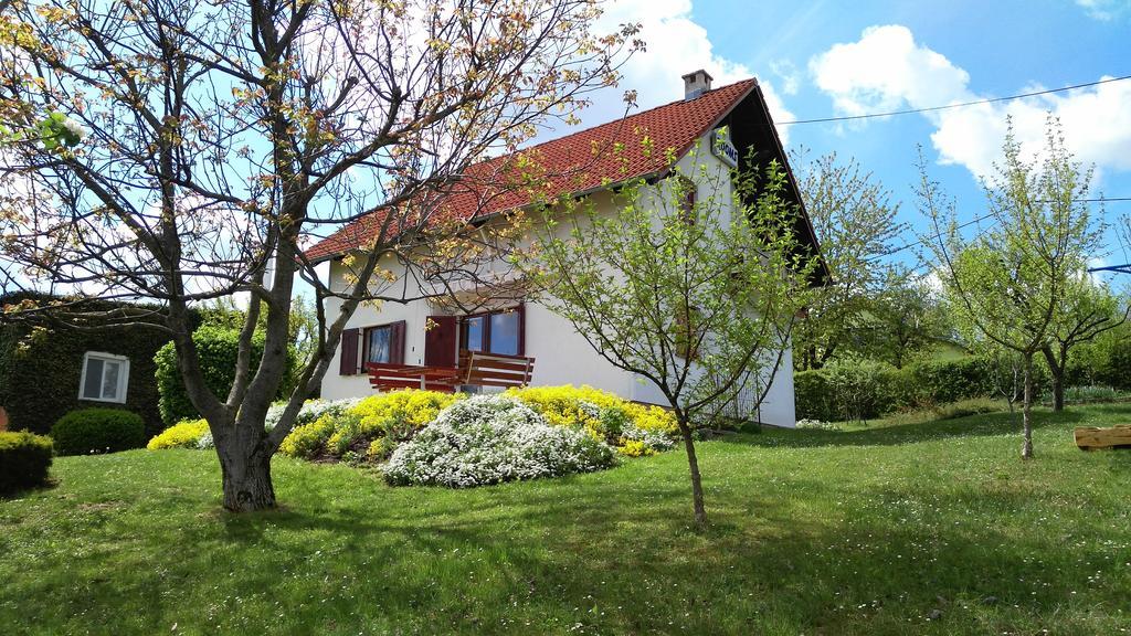 Guest House Kolić Drežnik Grad Extérieur photo