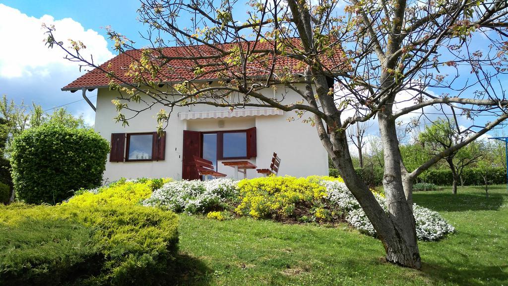 Guest House Kolić Drežnik Grad Extérieur photo